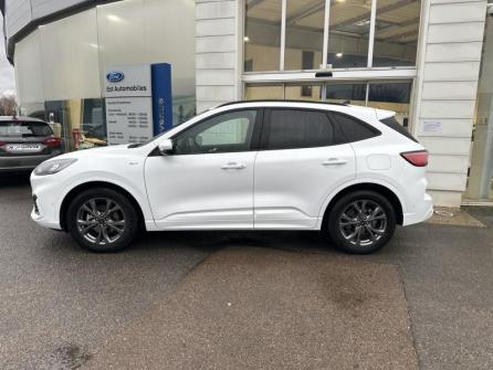 FORD Kuga 2.5 Duratec 190ch FHEV ST-Line X BVA à vendre à Auxerre - Image n°8