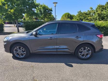 FORD Kuga 2.5 Duratec 190ch FHEV ST-Line Business BVA i-AWD à vendre à Bourges - Image n°8